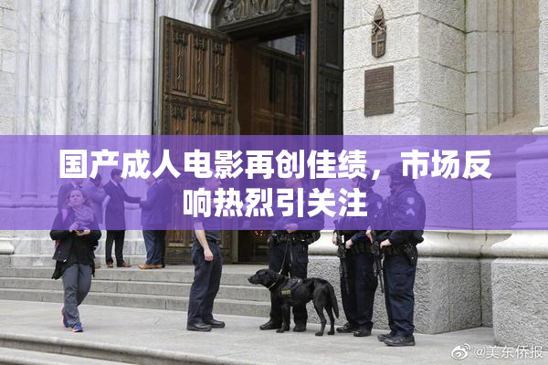 国产成人电影再创佳绩，市场反响热烈引关注