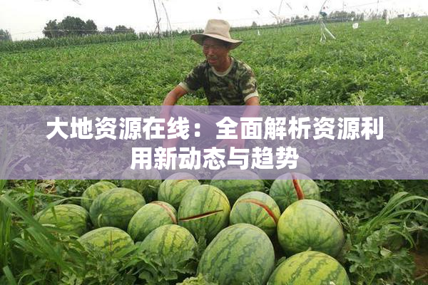 大地资源在线：全面解析资源利用新动态与趋势