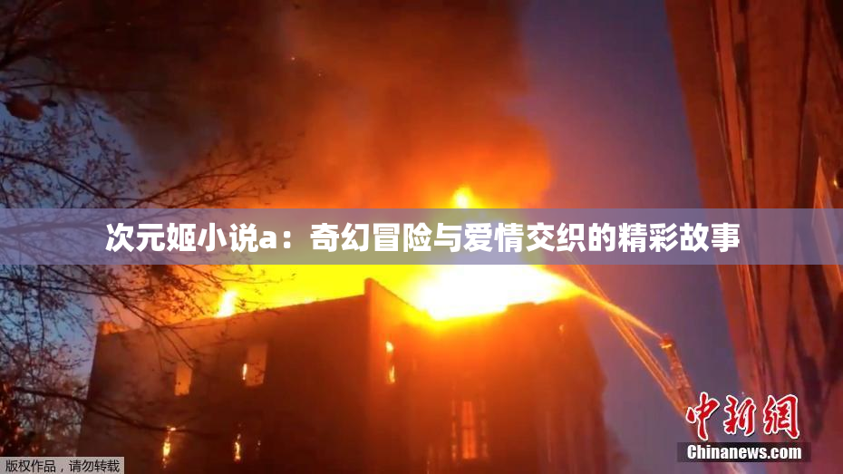 次元姬小说a：奇幻冒险与爱情交织的精彩故事