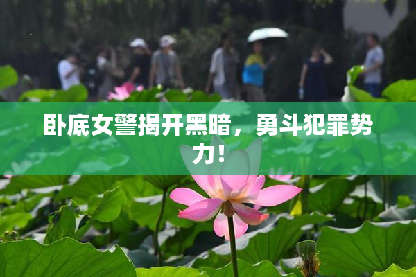 卧底女警揭开黑暗，勇斗犯罪势力！