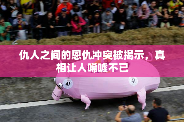 仇人之间的恩仇冲突被揭示，真相让人唏嘘不已