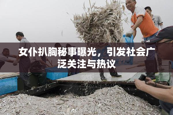 女仆扒胸秘事曝光，引发社会广泛关注与热议