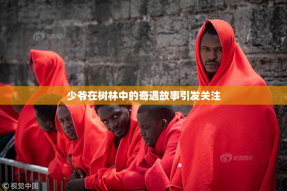 少爷在树林中的奇遇故事引发关注