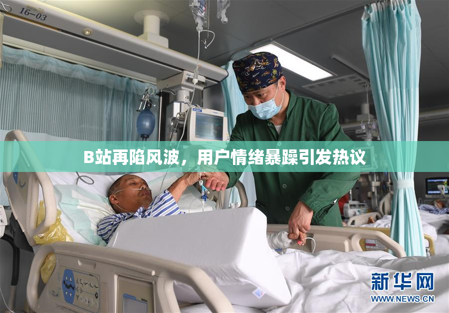 B站再陷风波，用户情绪暴躁引发热议