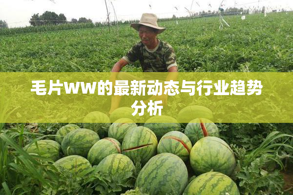 毛片WW的最新动态与行业趋势分析