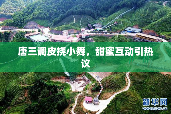 唐三调皮挠小舞，甜蜜互动引热议