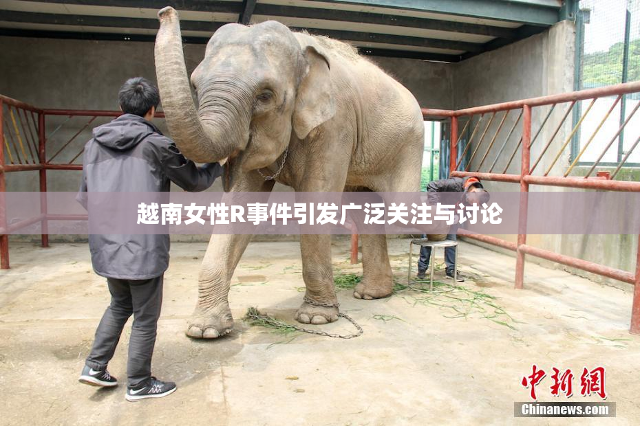 越南女性R事件引发广泛关注与讨论