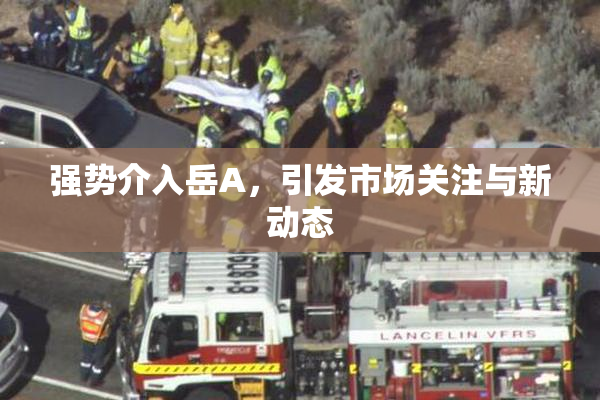 强势介入岳A，引发市场关注与新动态