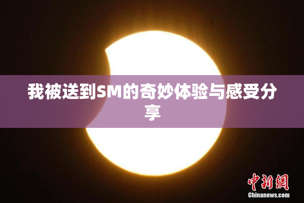 我被送到SM的奇妙体验与感受分享