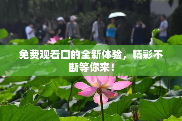 免费观看囗的全新体验，精彩不断等你来！