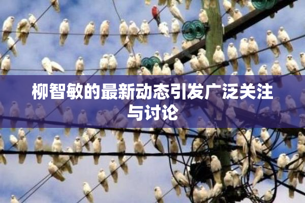 柳智敏的最新动态引发广泛关注与讨论