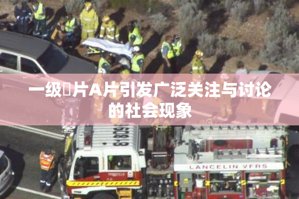 一级婬片A片引发广泛关注与讨论的社会现象