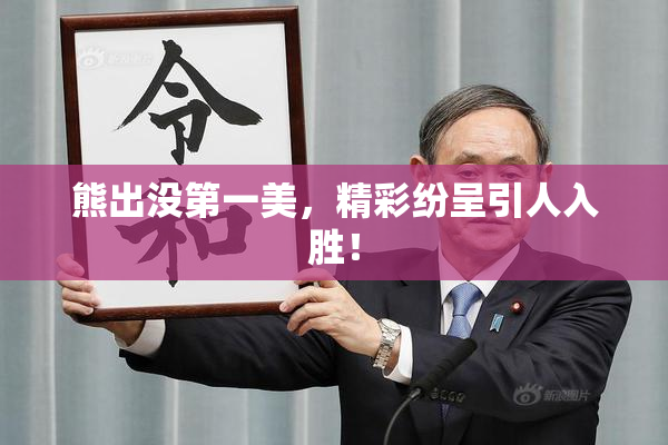 熊出没第一美，精彩纷呈引人入胜！