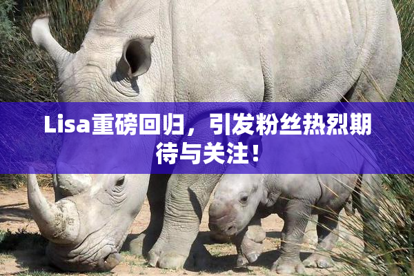 Lisa重磅回归，引发粉丝热烈期待与关注！