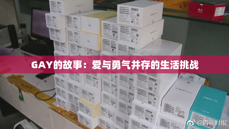 GAY的故事：爱与勇气并存的生活挑战