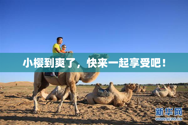 小樱到爽了，快来一起享受吧！