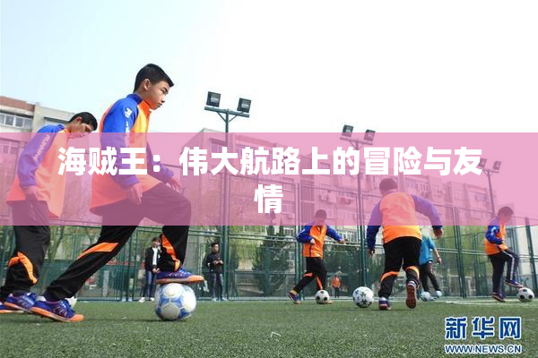 海贼王：伟大航路上的冒险与友情