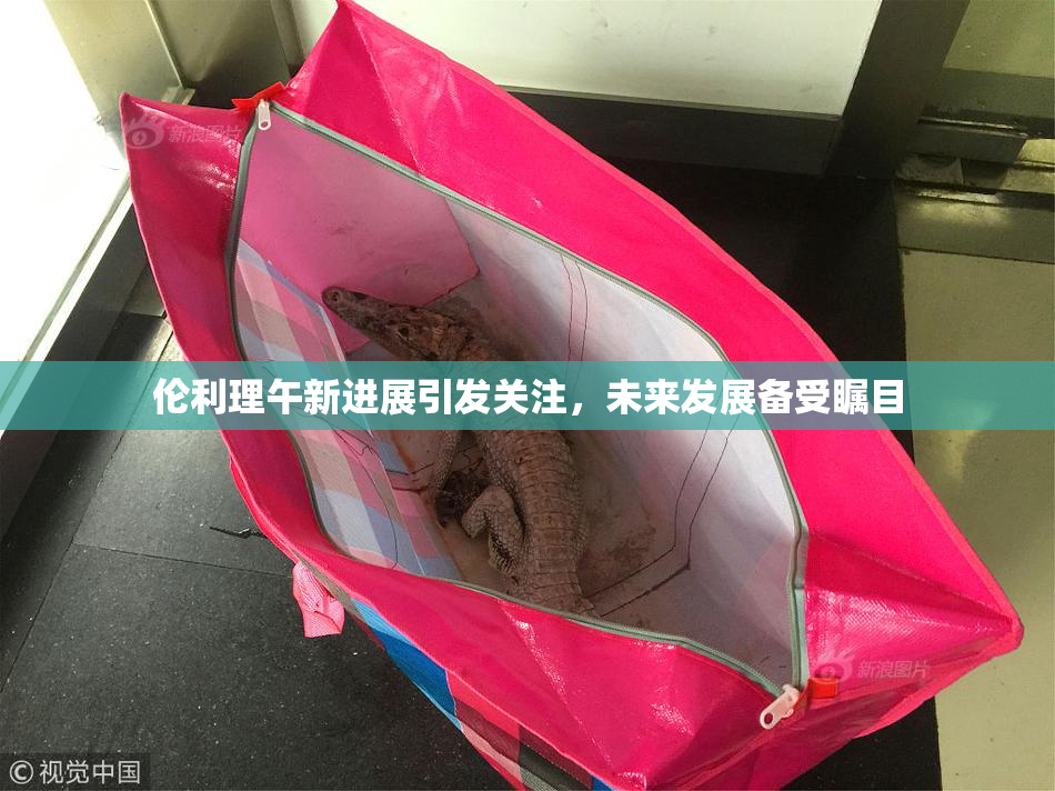 伦利理午新进展引发关注，未来发展备受瞩目