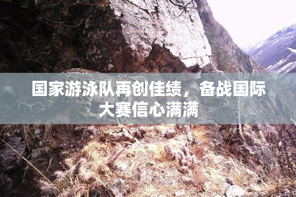 国家游泳队再创佳绩，备战国际大赛信心满满