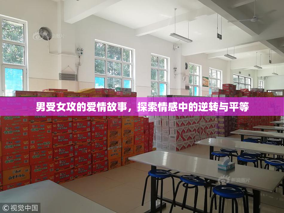 男受女攻的爱情故事，探索情感中的逆转与平等