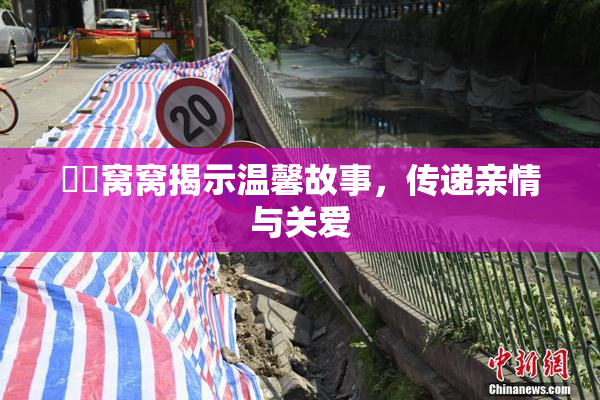 妺妺窝窝揭示温馨故事，传递亲情与关爱