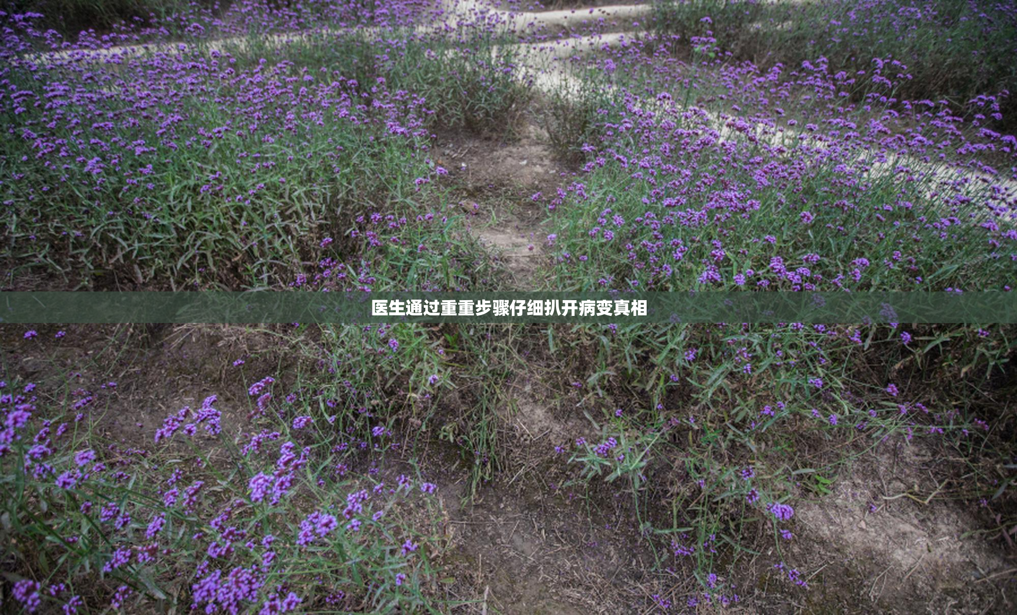 医生通过重重步骤仔细扒开病变真相