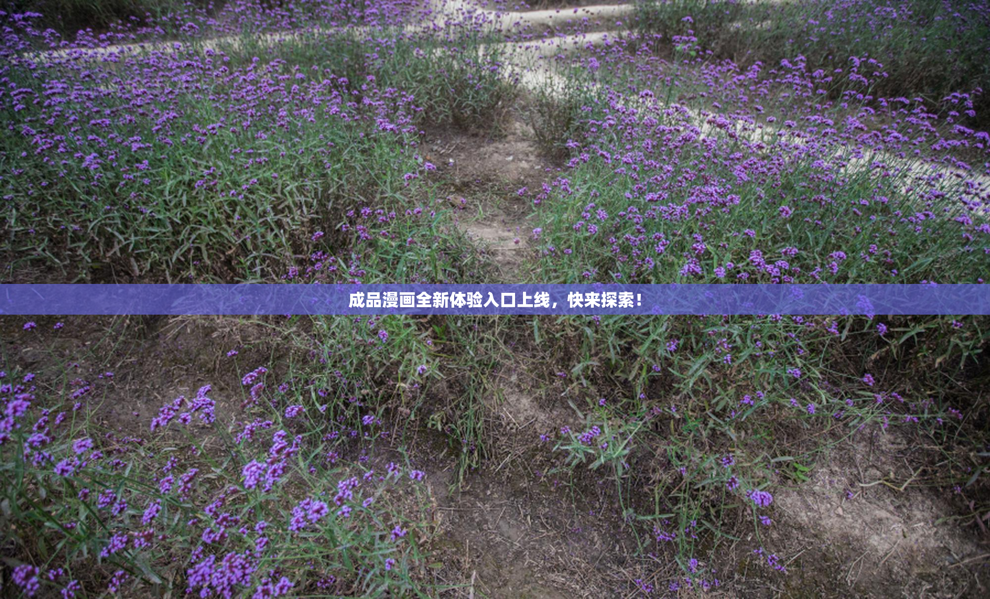 成品漫画全新体验入口上线，快来探索！
