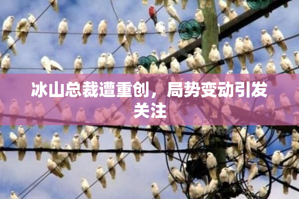 冰山总裁遭重创，局势变动引发关注