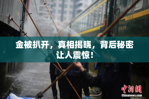 金被扒开，真相揭晓，背后秘密让人震惊！