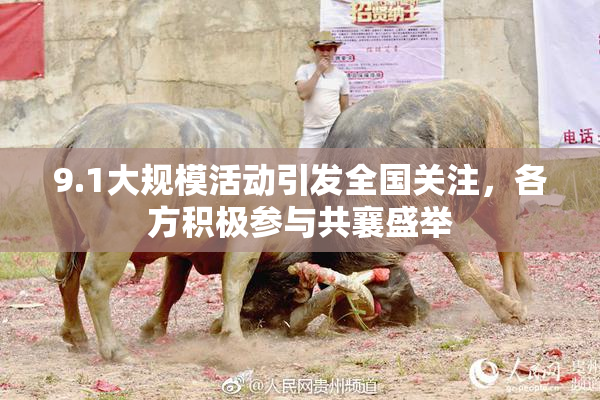 9.1大规模活动引发全国关注，各方积极参与共襄盛举