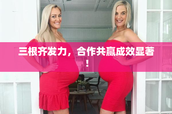 三根齐发力，合作共赢成效显著！