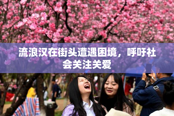 流浪汉在街头遭遇困境，呼吁社会关注关爱