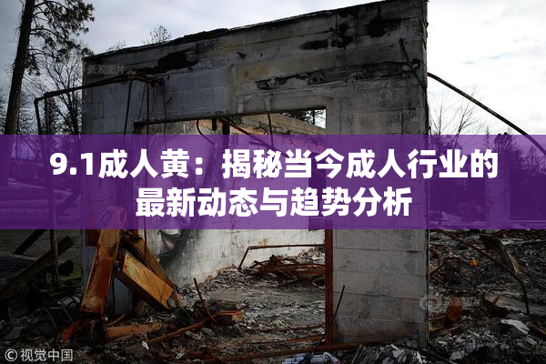 9.1成人黄：揭秘当今成人行业的最新动态与趋势分析