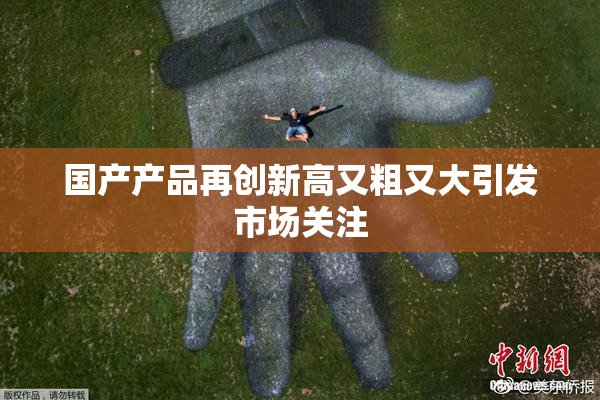 国产产品再创新高又粗又大引发市场关注