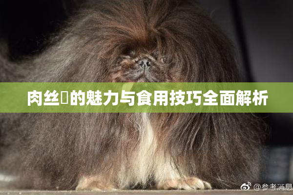 肉丝祙的魅力与食用技巧全面解析