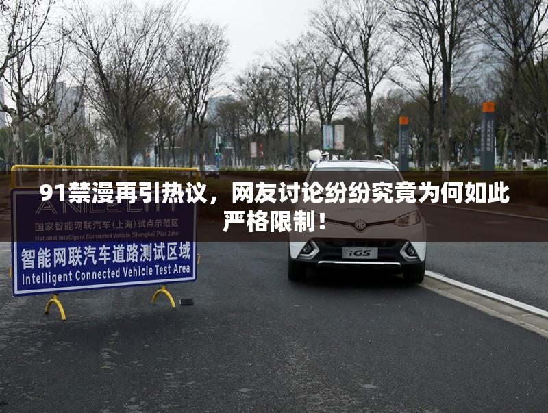 91禁漫再引热议，网友讨论纷纷究竟为何如此严格限制！