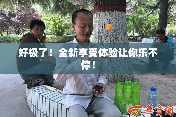 好极了！全新享受体验让你乐不停！