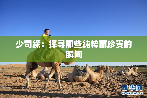少司缘：探寻那些纯粹而珍贵的瞬间