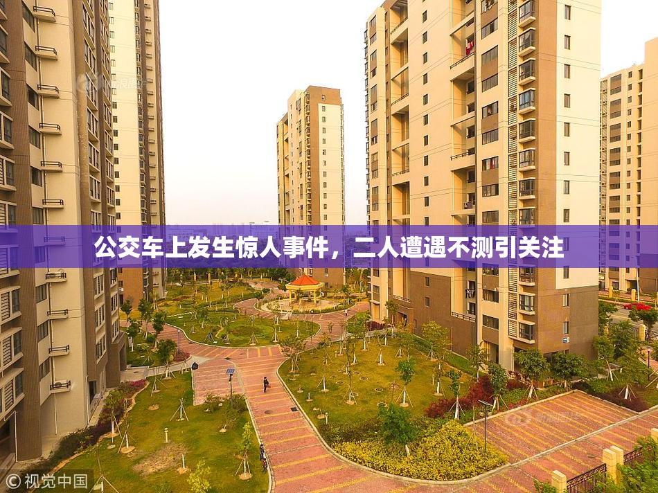 公交车上发生惊人事件，二人遭遇不测引关注