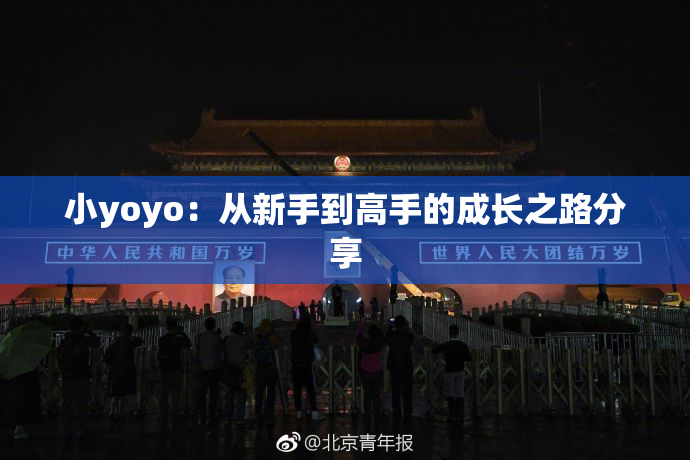 小yoyo：从新手到高手的成长之路分享
