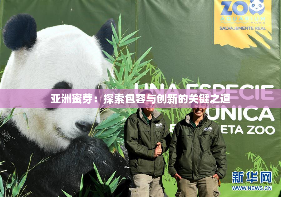 亚洲蜜芽：探索包容与创新的关键之道
