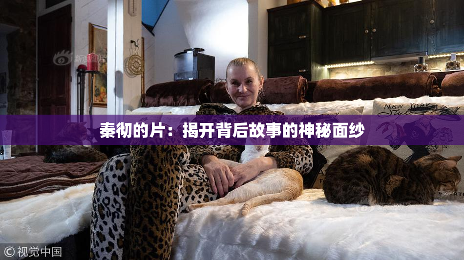秦彻的片：揭开背后故事的神秘面纱