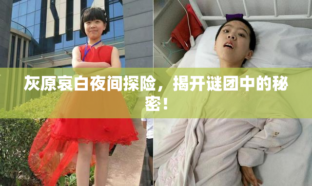 灰原哀白夜间探险，揭开谜团中的秘密！