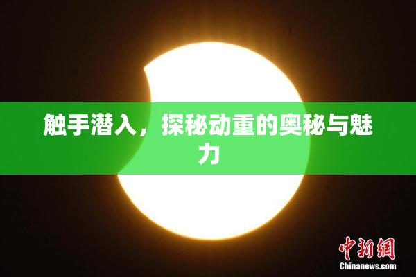 触手潜入，探秘动重的奥秘与魅力