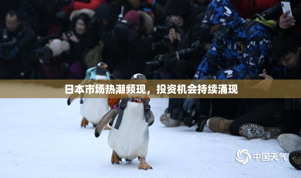 日本市场热潮频现，投资机会持续涌现