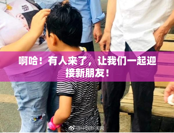 啊哈！有人来了，让我们一起迎接新朋友！