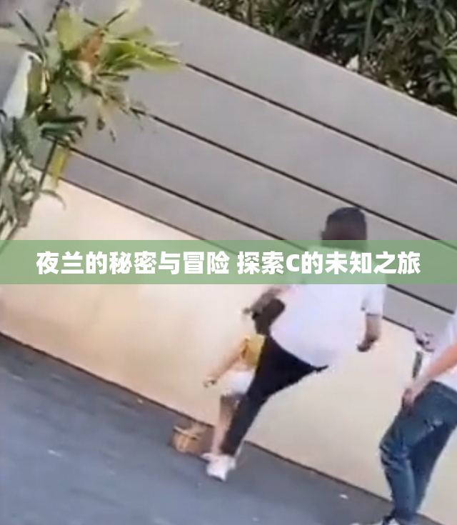 夜兰的秘密与冒险 探索C的未知之旅