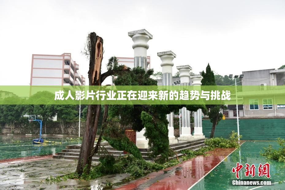 成人影片行业正在迎来新的趋势与挑战