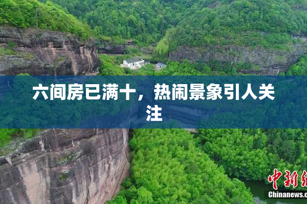 六间房已满十，热闹景象引人关注