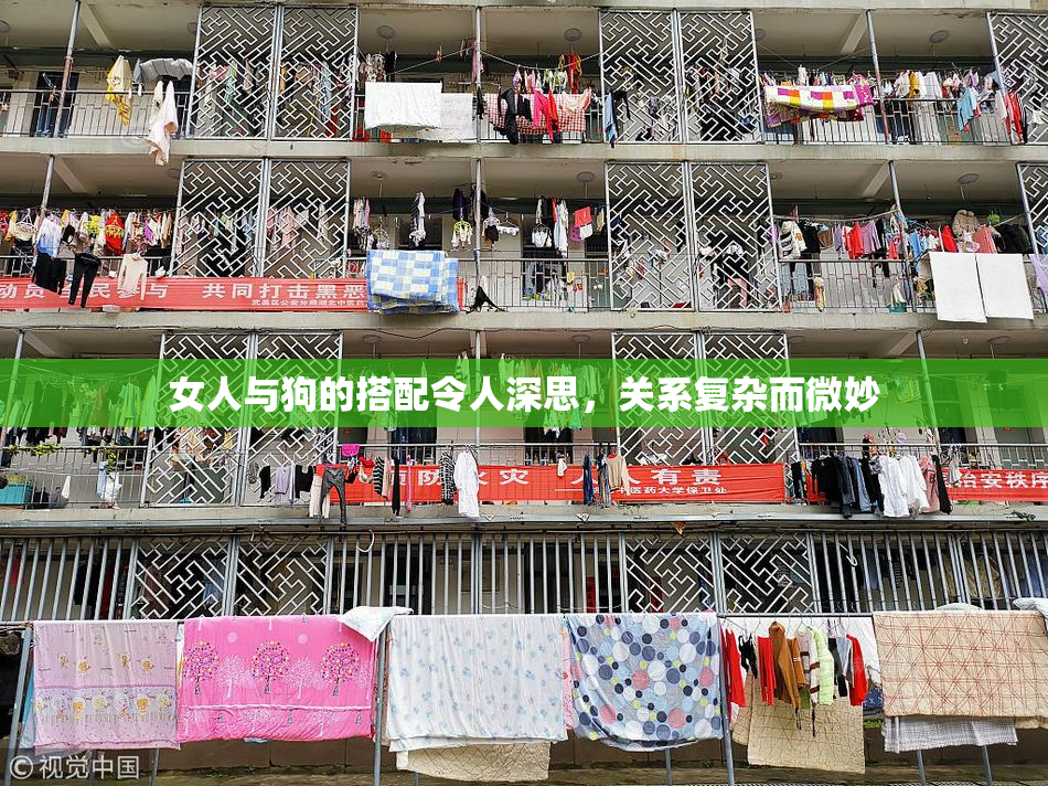 女人与狗的搭配令人深思，关系复杂而微妙